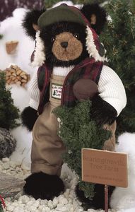 Frasir Fir